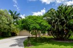 Mature palm trees and exotic plants surround Villa Alecia